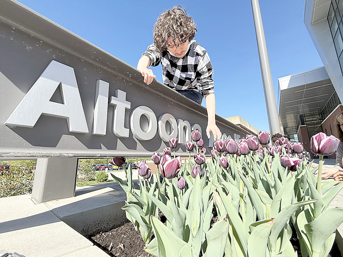 Blooming with pride: Altoona Area High School students cultivate ...